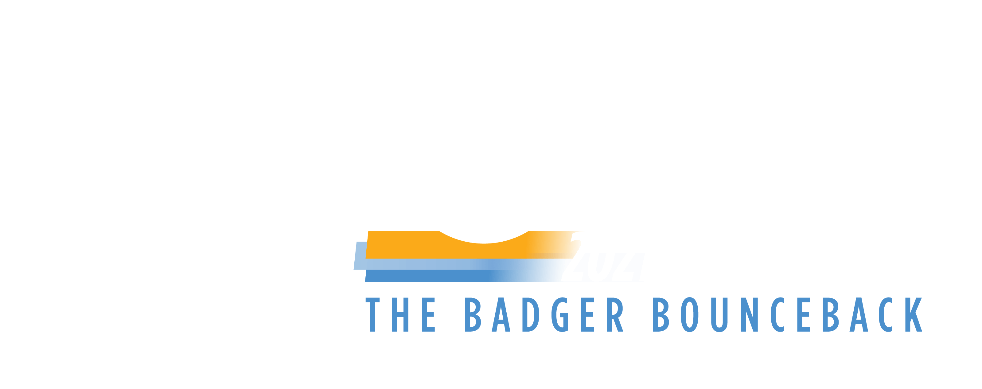 WisDems 2021 State Convention